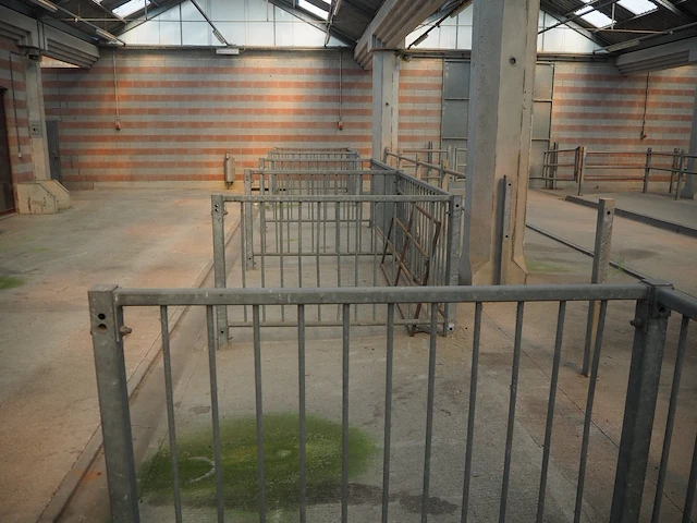 Nn stables - afbeelding 3 van  3