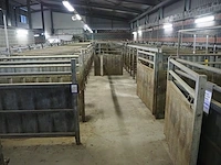 Nn stables