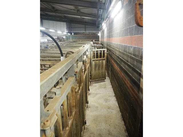 Nn stables - afbeelding 13 van  14