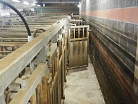 Nn stables - afbeelding 13 van  14