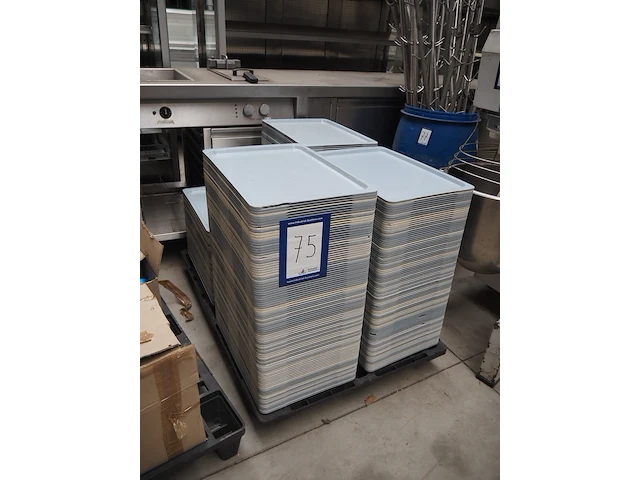Nn trays - afbeelding 1 van  4
