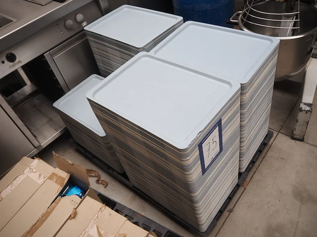 Nn trays - afbeelding 3 van  4