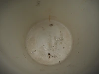 Nn tubs - afbeelding 5 van  6