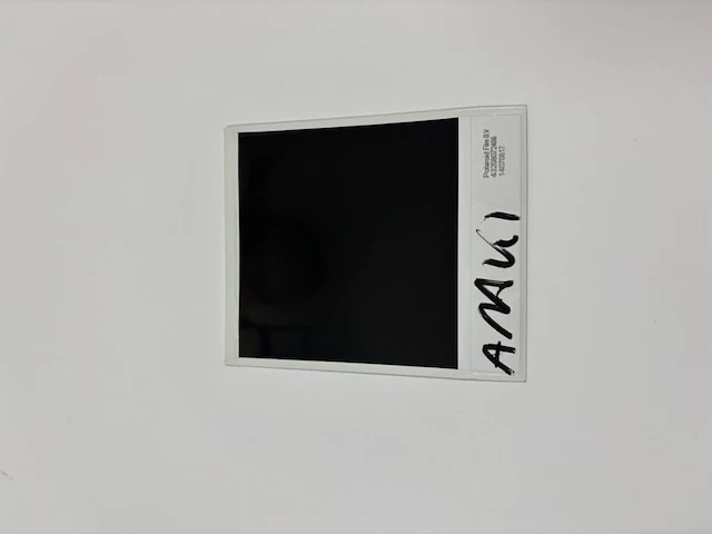 Nobuyoshi araki - originele polaroid - afbeelding 2 van  3