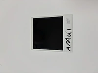 Nobuyoshi araki - originele polaroid - afbeelding 2 van  3