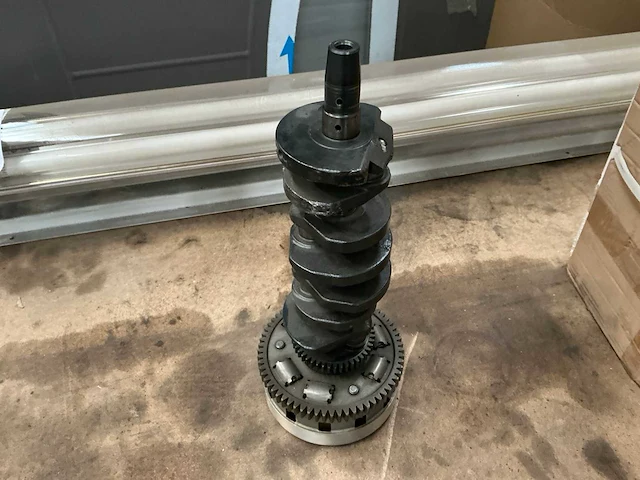 Nokkenas decoratie - afbeelding 3 van  4