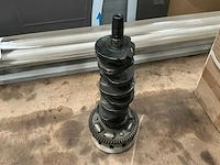 Nokkenas decoratie - afbeelding 3 van  4