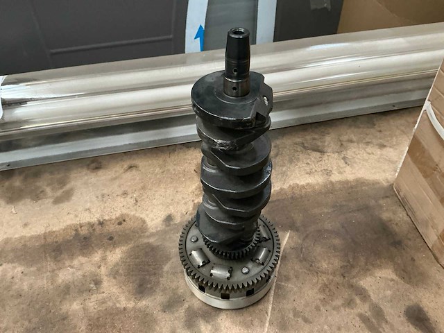 Nokkenas decoratie - afbeelding 3 van  4