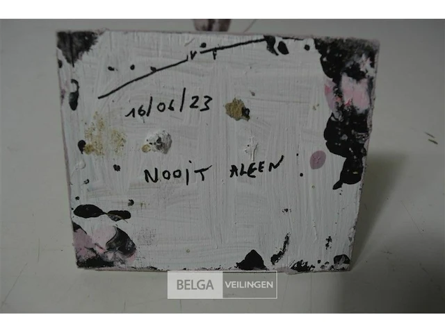 Nooit alleen johan van tongelen - afbeelding 5 van  5