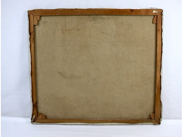 Nora straink - afbeelding 5 van  5