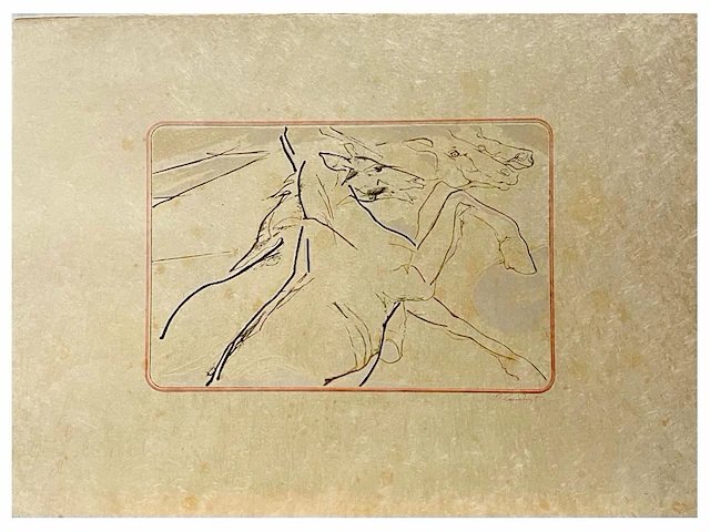 Octave landuyt – paarden - afbeelding 1 van  1