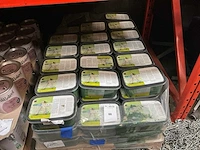 Oecoplan muurverf (82x) - afbeelding 4 van  4