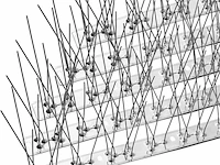 Offo vogelspikes rvs 25 stuks van 34cm. - afbeelding 1 van  5