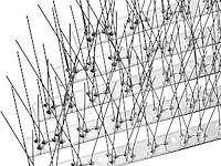 Offo vogelspikes rvs 25 stuks van 34cm. - afbeelding 3 van  4