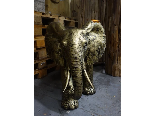 Olifant - afbeelding 1 van  5