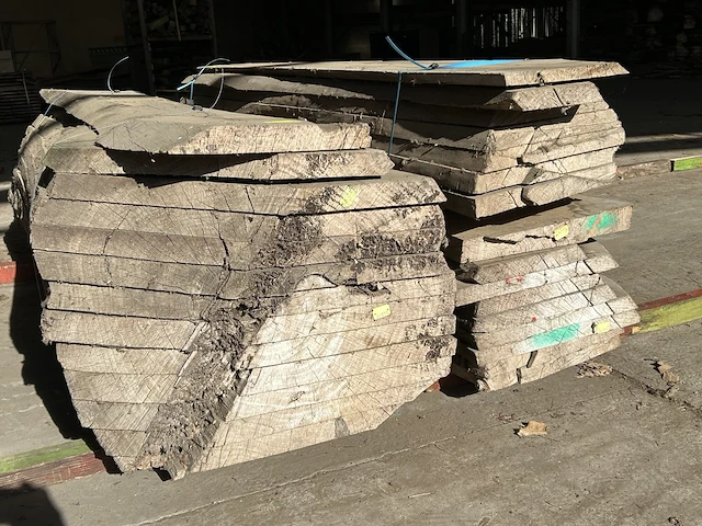 Olm stammen - lengtes +/- 2500mm - afbeelding 1 van  5
