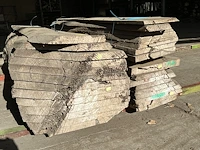 Olm stammen - lengtes +/- 2500mm - afbeelding 1 van  5