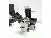 Olympus - ckx53sf - omgekeerde r&d microscoop - afbeelding 1 van  4