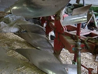 Omkeerbare ploegmachine steeno - afbeelding 5 van  5