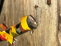 Ong 100 m kabel op rol - afbeelding 3 van  3