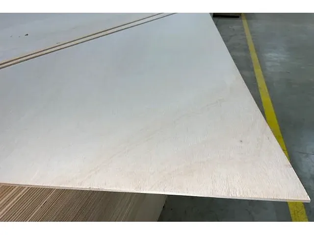 Ong 225 populierplaten 5 mm - afbeelding 3 van  3