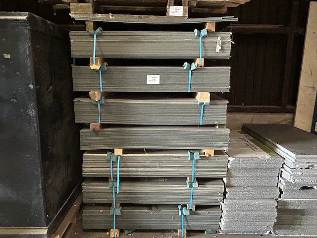 Ong 300 platen - afbeelding 1 van  1