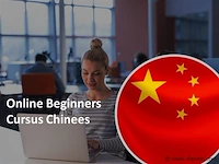 Online beginnerscursus chinees - afbeelding 1 van  1