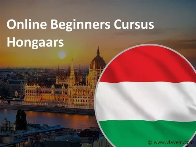 Online beginnerscursus hongaars - afbeelding 1 van  1