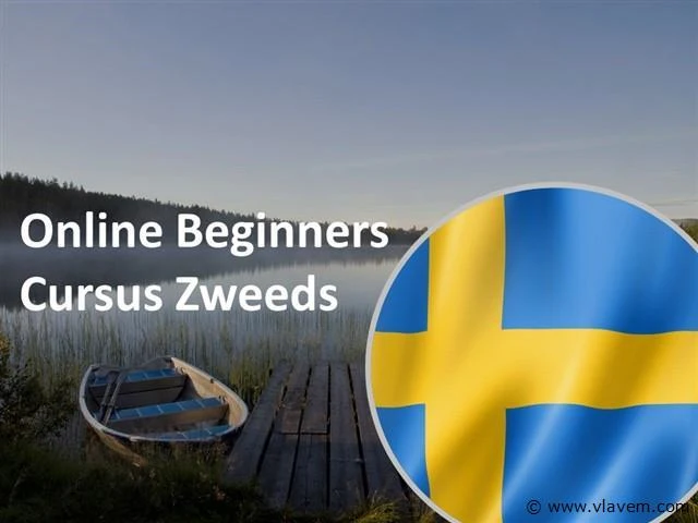 Online beginnerscursus zweeds - afbeelding 1 van  1
