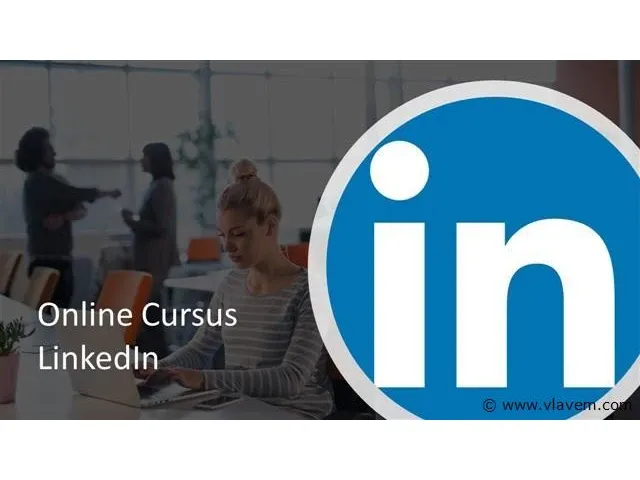 Online cursus linkedin - afbeelding 1 van  1