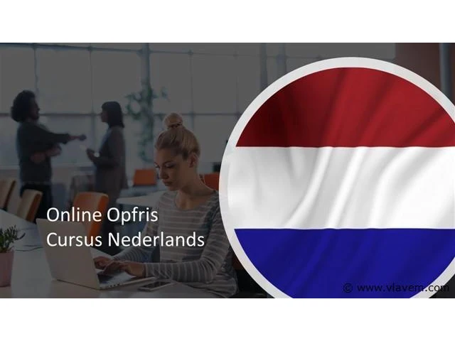 Online opfris cursus nederlands - afbeelding 1 van  1
