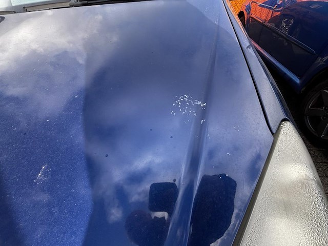 Opel astra 1.6i xep 16v enjoy,2005 - afbeelding 17 van  35