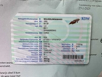 Opel corsa, 2014 - afbeelding 11 van  19
