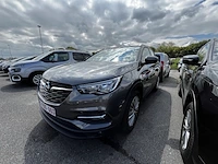 Opel grandland x 1.2 turbo ecotect edition 130 at, xxxx - afbeelding 1 van  24