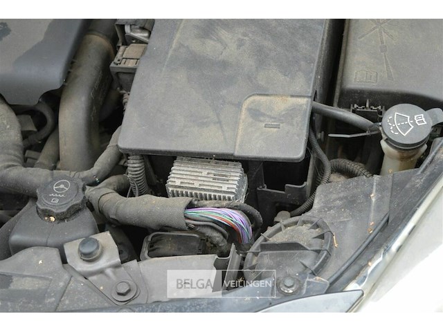 Opel insigna - afbeelding 19 van  19