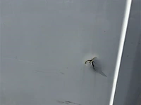 Opel movano,2018 - afbeelding 24 van  38