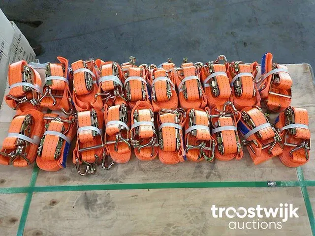 Opspangereedschap 2 ton 6 meter - afbeelding 6 van  6