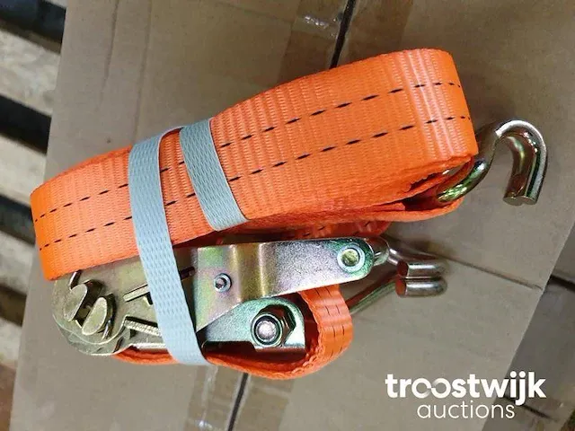 Opspangereedschap 2 ton 6 meter - afbeelding 1 van  6