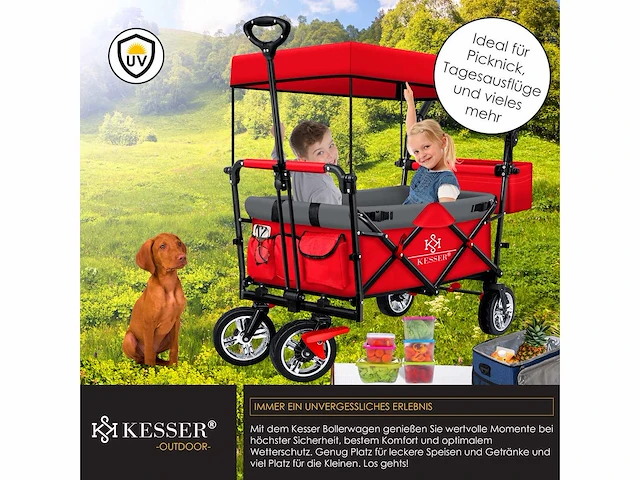 Opvouwbare trolley met dakstrandtrolley | met 2x 3-punts gordelsysteem - afbeelding 6 van  7