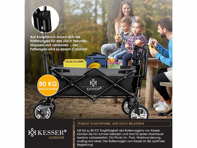 Opvouwbare trolley met dakstrandtrolley | met 2x 3-punts gordelsysteem - afbeelding 4 van  6