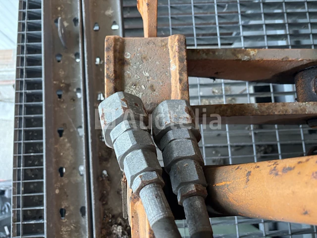 Oranje grijpbak - afbeelding 3 van  10