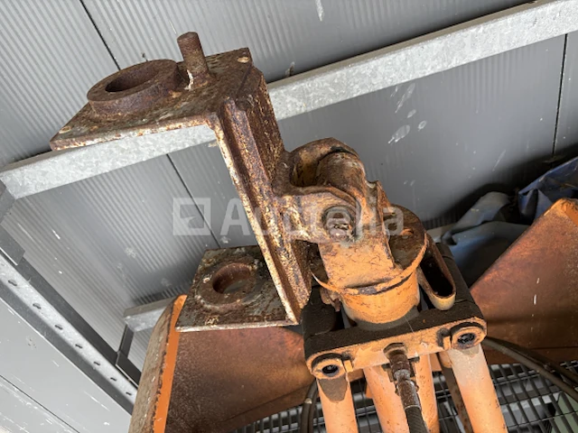 Oranje grijpbak - afbeelding 4 van  10