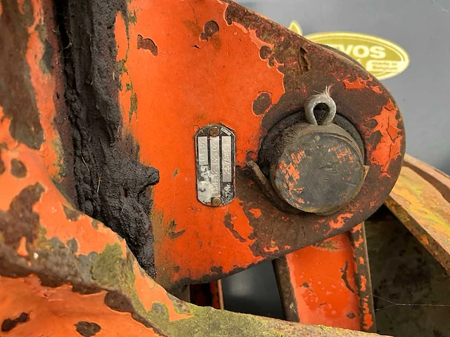 Oranje grijper - afbeelding 3 van  8