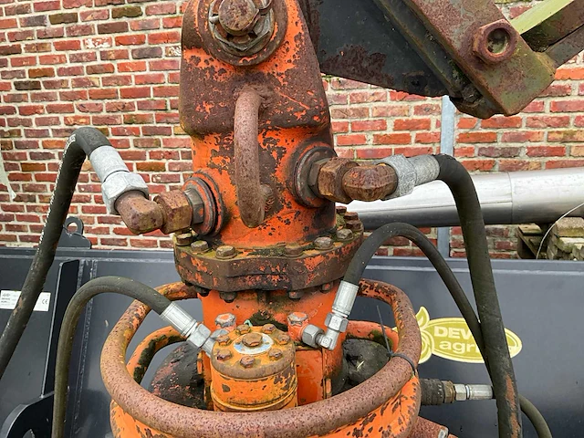 Oranje grijper - afbeelding 4 van  8