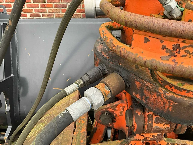 Oranje grijper - afbeelding 6 van  8