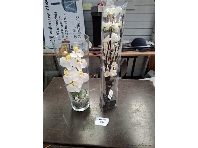 Orchidee - afbeelding 1 van  1