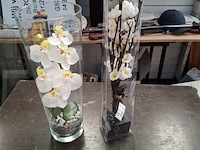 Orchidee - afbeelding 1 van  1
