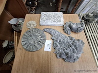 Ornamenten - afbeelding 1 van  1