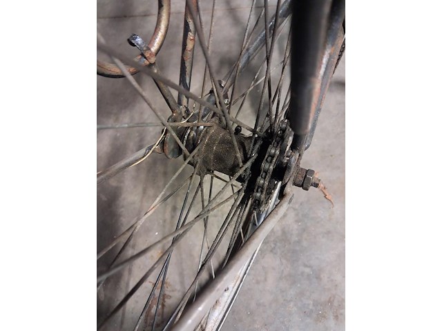 Oude fiets mertens,torpedo maat 56 - afbeelding 3 van  6