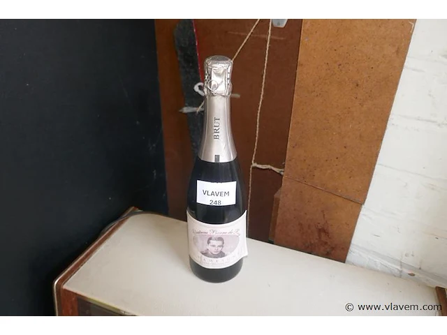 Oude fles champagne - afbeelding 1 van  1